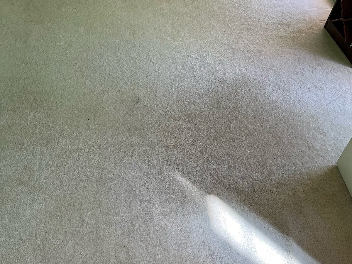 Soiled carpet in a Northern Virginia home before rug cleaning