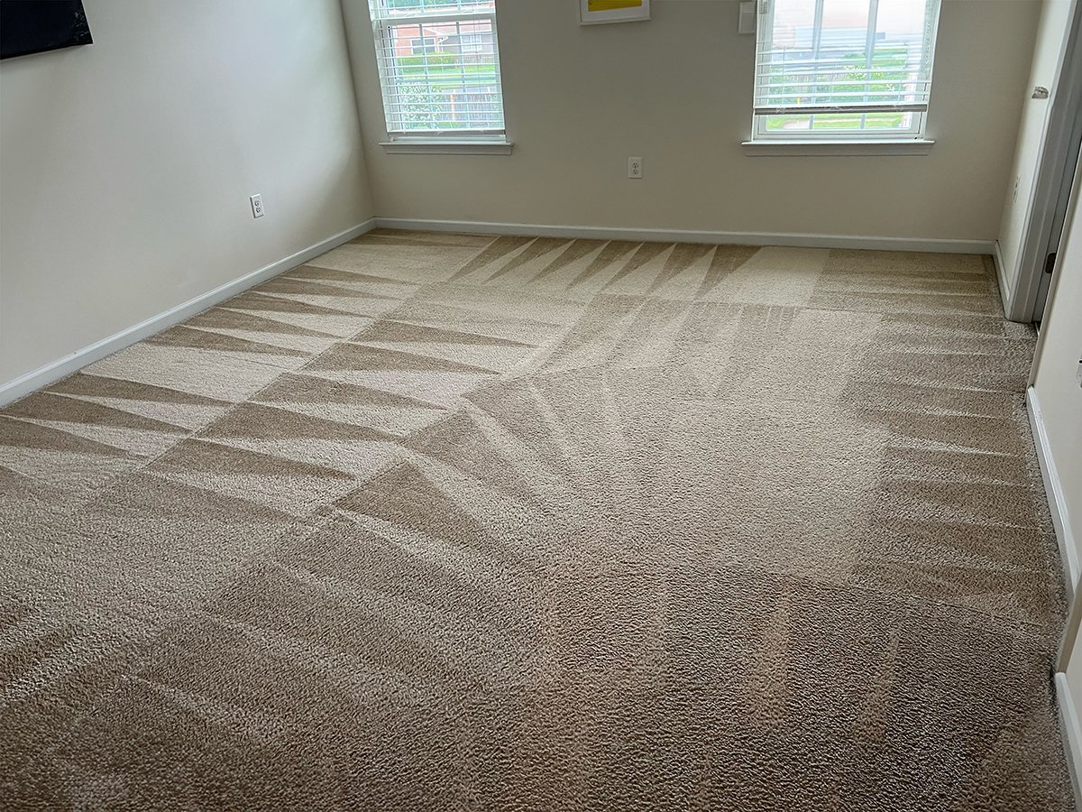 The same floor after carpet cleaning by Sky Carpet Cleaners