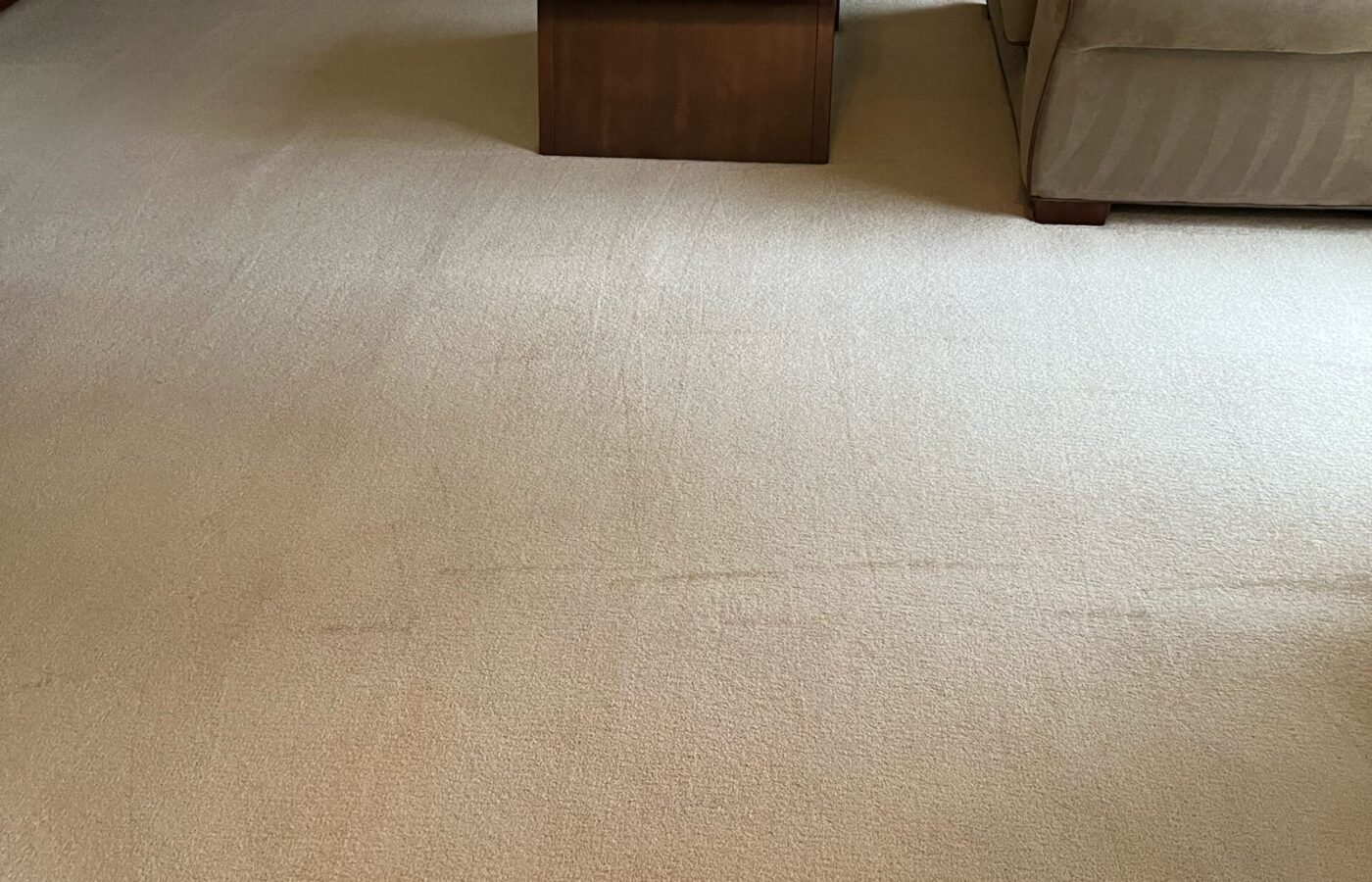 Carpet cleaning job by Sky Carpet Cleaners in Northern Virginia