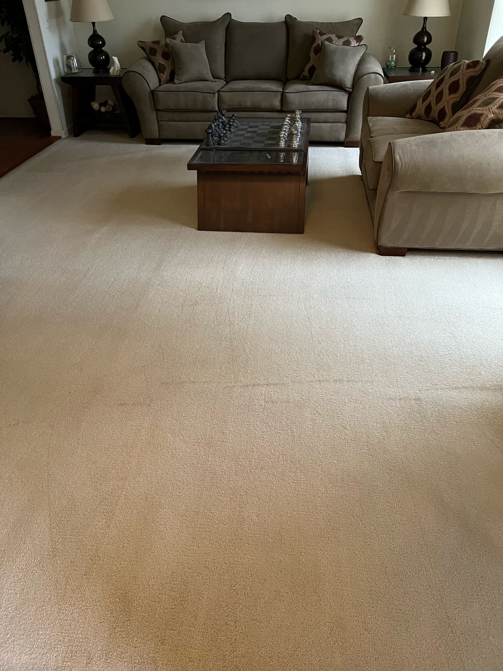 Carpet cleaning job by Sky Carpet Cleaners in Northern Virginia