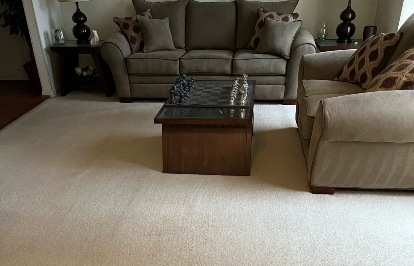 Carpet cleaning job by Sky Carpet Cleaners in Northern Virginia
